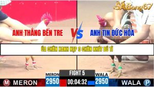 TRẬN 5 C3 27/05/2025