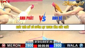 TRẬN 8 C1 27/05/2025