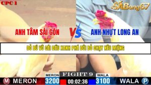TRẬN 9 C1 27/05/2025
