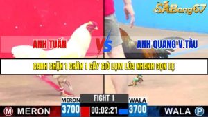 TRẬN 1 C3 31/5/2025