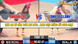 TRẬN 12 C3 25/05/2025