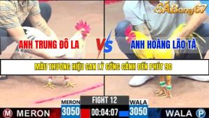 TRẬN 12 C3 30/05/2025