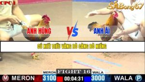 TRẬN 16 C1 24/05/2025