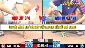 TRẬN 16 C3 25/05/2025