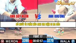 TRẬN 17 C3 24/05/2025