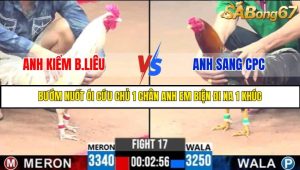 TRẬN 17 C3 25/05/2025