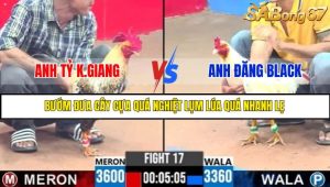 TRẬN 17 C3 30/05/2025