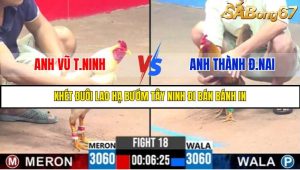 TRẬN 18 C3 24/05/2025