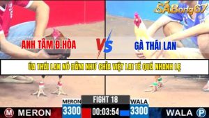 TRẬN 18 C3 25/05/2025