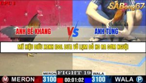 TRẬN 19 C1 24/05/2025