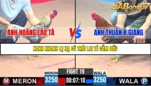 TRẬN 19 C3 30/5/2025