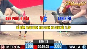 TRẬN 2 C3 28/05/2025