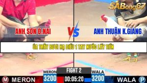 TRẬN 2 C3 30/05/2025