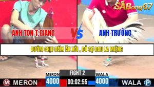 TRẬN 2 C3 31/5/2025