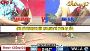 TRẬN 21 C2 28/05/2025