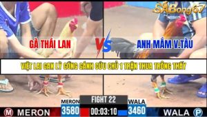 TRẬN 22 C3 25/05/2025