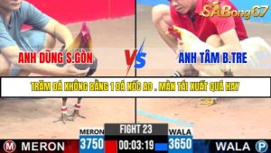 TRẬN 23 C3 30/5/2025