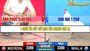 TRẬN 23 C3 31/5/2025