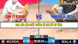 TRẬN 24 C3 30/5/2025