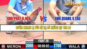TRẬN 28 C3 30/5/2025