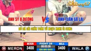 TRẬN 28 C3 31/5/2025