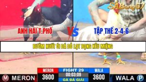 TRẬN 29 C3 31/5/2025