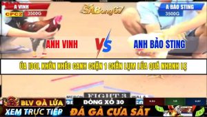 TRẬN 3 C2 23/05/2025