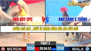 TRẬN 3 C3 25/05/2025