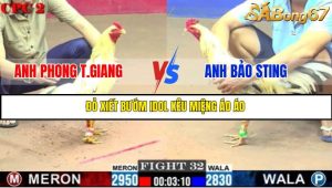 TRẬN 32 C2 23/05/2025