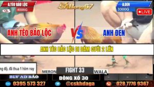 TRẬN 33 CPC3 23/05/2025