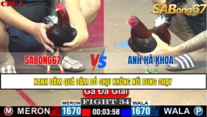 TRẬN 34 C1 26/05/2025