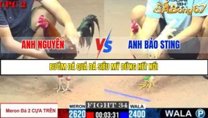 TRẬN 34 C2 23/05/2025