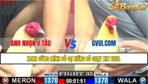 TRẬN 35 C1 26/05/2025