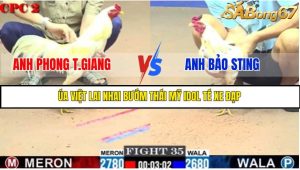 TRẬN 35 C2 23/05/2025