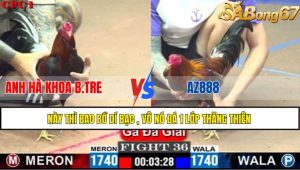 TRẬN 36 C1 26/05/2025