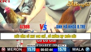 TRẬN 39 C1 26/05/2025