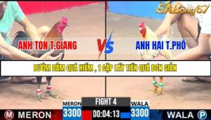 TRẬN 4 C3 31/5/2025