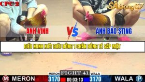 TRẬN 41 C2 23/05/2025