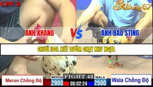 TRẬN 42 C2 23/05/2025