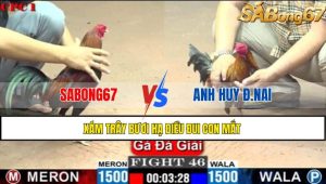 TRẬN 46 C1 26/05/2025