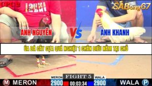 TRẬN 5 C2 25/05/2025
