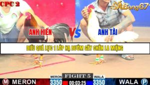 TRẬN 5 C2 30/05/2025