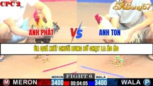 TRẬN 6 C2 30/05/2025