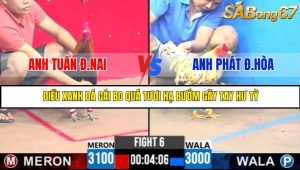 TRẬN 6 C3 30/05/2025