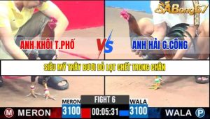 TRẬN 6 C3 31/5/2025