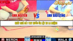 TRẬN 7 C2 23/05/2025