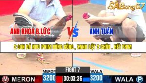 TRẬN 7 C3 24/05/2025
