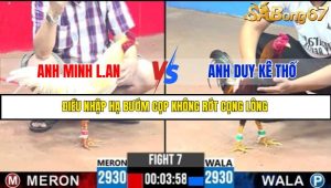 TRẬN 7 C3 31/5/2025