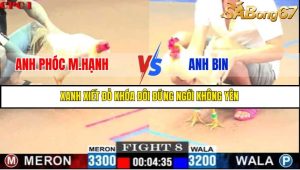 TRẬN 8 C1 24/05/2025