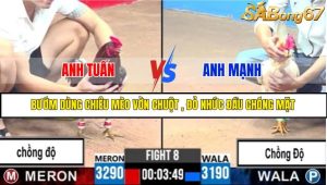 TRẬN 8 C3 24/05/2025